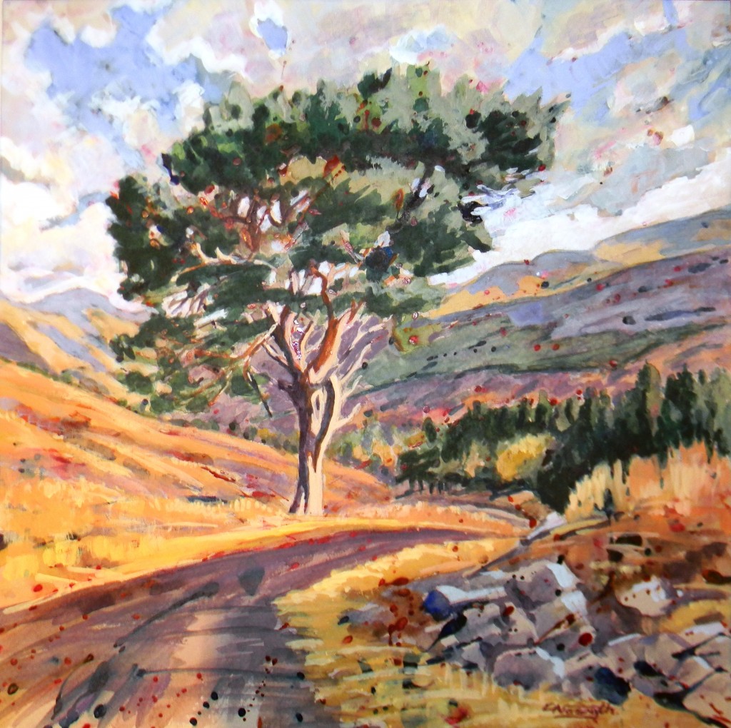 Caledonian Pine, Glen Lyon, Perthshire